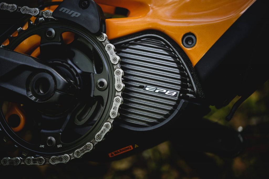 RD57897-1536x1024.jpg RD57897-1536x1024.jpg