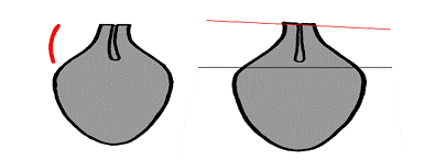 не должно быть винтового изгиба