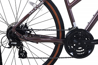 Велосипед WELS Valkyrie - фото