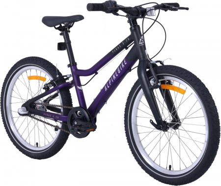 Велосипед Alpinebike Pegas 3-20 (2025) (Велосипед детский Alpinebike Pegas 3-20 алюм, 20" фиолетовый космос, ALPN_G2_PEGAS_320_PU)