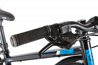 Stinger Caiman D 24" (2020) - фото