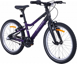 Велосипед Alpinebike Pegas 3-20 (2025) - фото