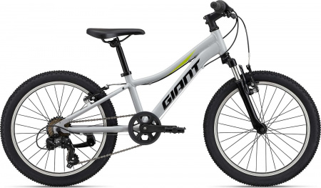 Велосипед Giant XtC Jr 20" (2022) (Велосипед Giant 22" XtC Jr 20, One Size Only, Серый, 2204029120)