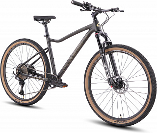 Велосипед Hagen Queen 10 (2025) - фото