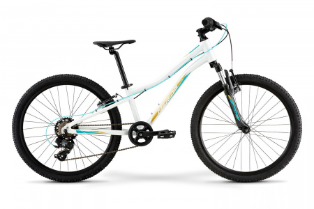 Велосипед Merida MATTS J24 ECO 24" (2021) (Велосипед Merida 2021 MATTS J24 ECO, 24", OneSize Белый//Золото (2000053537049))