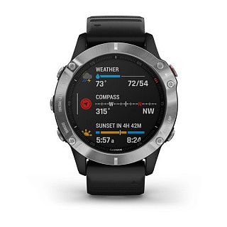Часы GARMIN Fenix 6 (Silver/Black Band) - фото