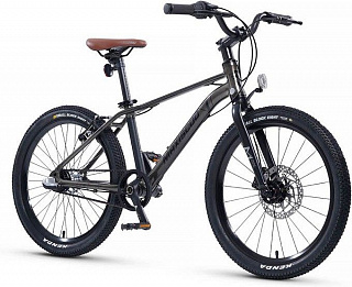 Велосипед Maxiscoo 7BIKE 20 M700 (2024) - фото