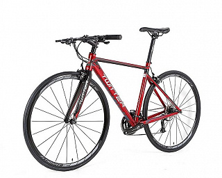 Велосипед Twitter Hunter 2.0 Thumb 28" - фото